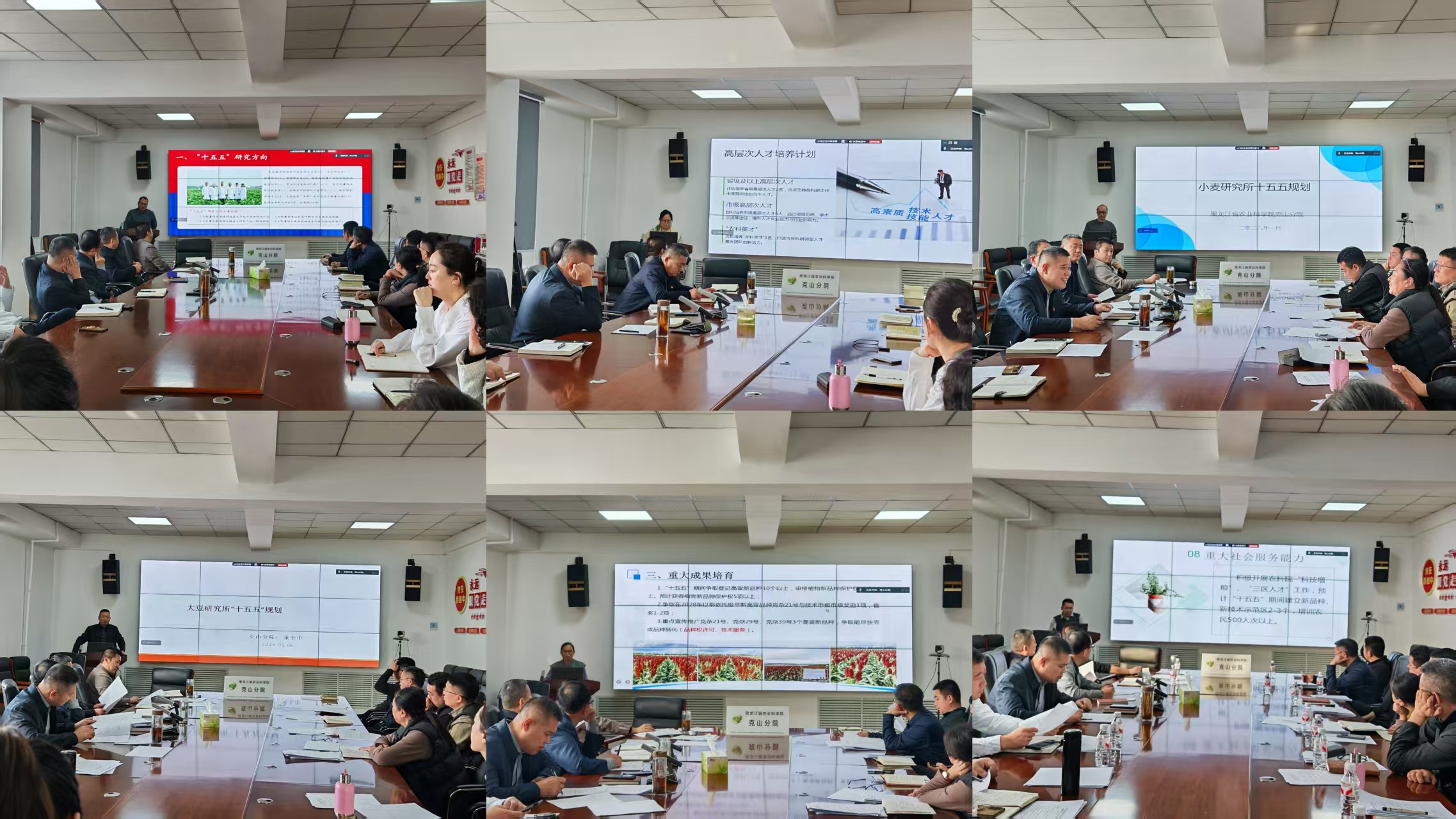 1768465231393548.jpg 1.jpg